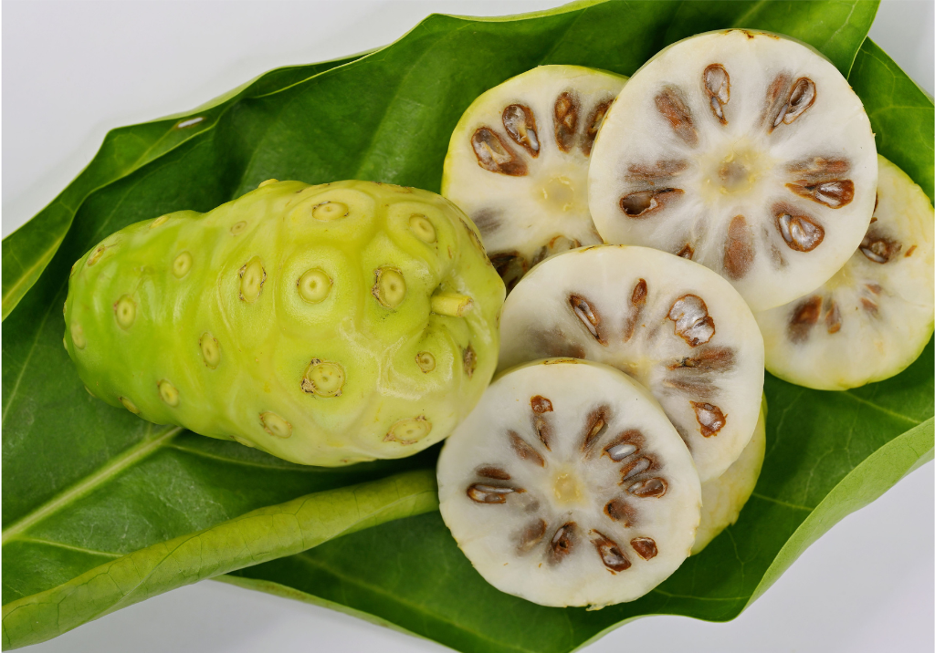Noni - otkrijte-ljekovitosti-ove-biljke