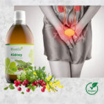 Kidney – Dodatak prehrani
