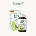 Energy plus
